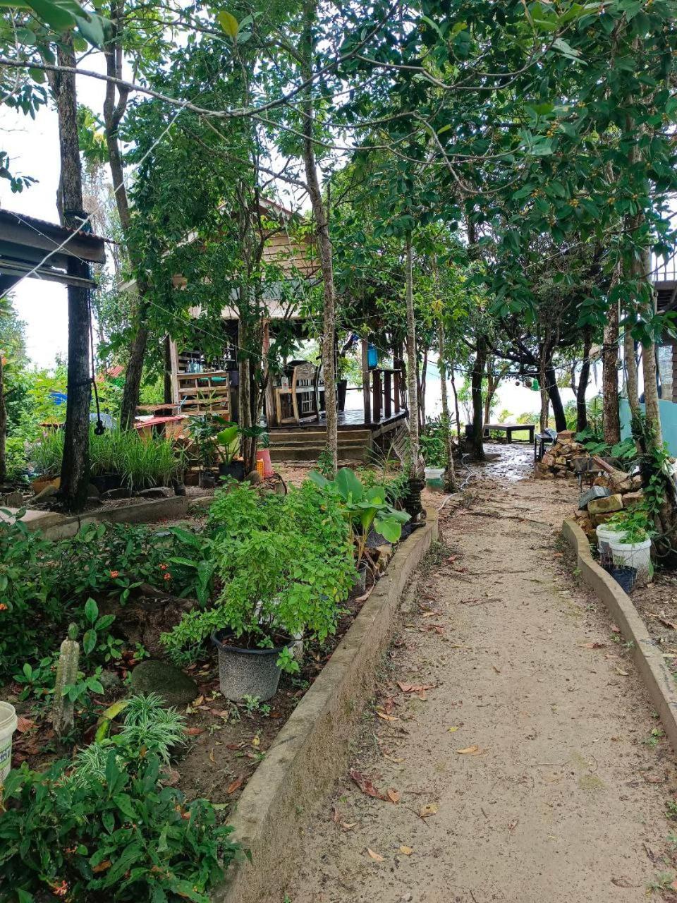 קו רונג סנלואם Dragonfly Guesthouse מראה חיצוני תמונה